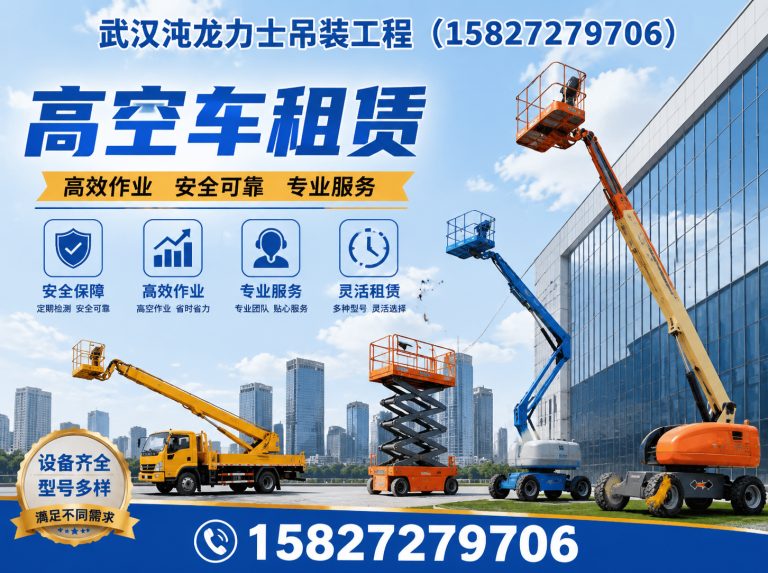 江汉区武汉沌龙力士吊装工程展示图